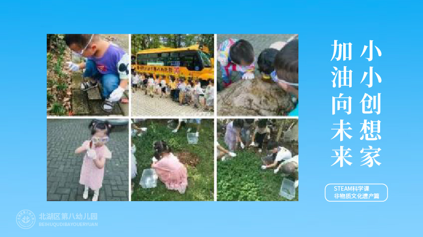 第八幼兒園師生風采