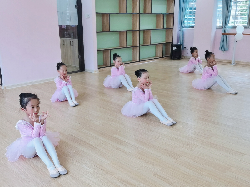 郴州市蘇仙區金鹿角幼兒園師生風采