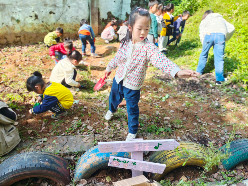 蘇仙區(qū)第二十五幼兒園師生風采