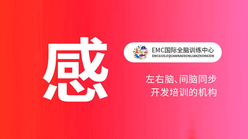腦力開發“感”-EMC國際